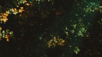 Rustic grunge brown texture with chaotic overlay for artistic background design photo