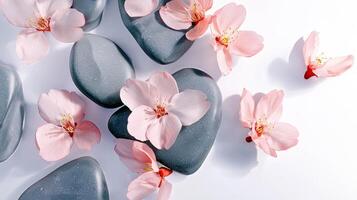 Serene sakura petals on smooth stones for tranquil design and decor photo