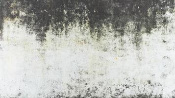 Grunge green and white texture with contrasting chaos, ideal for creative design projects photo