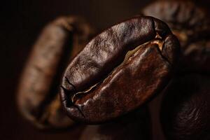 An Engaging Close Up View of Three Rich Dark Brown Roasted Coffee Beans photo