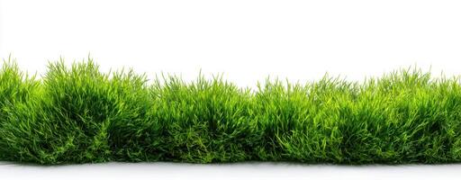Green Grass Background with Lush Blades An Illustration of Springtime Natural Beauty And Ideal for Landscaping Design and Textures photo