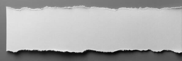 A piece of white paper with torn edges photo