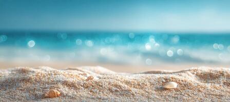 Sea shells on the beach with a blue sky photo