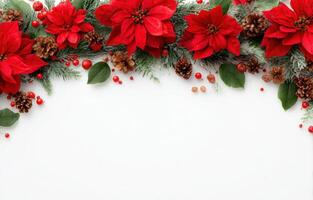 Christmas border with poinsettia flowers and pine cones on white background photo