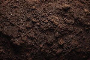 A close up of a dark brown soil photo