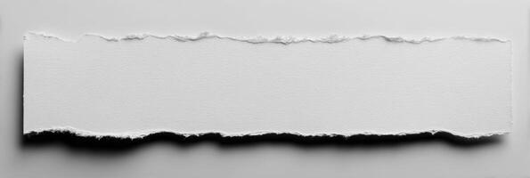 A piece of torn paper on a white background photo