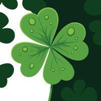 Four leaf clover with green leaves on a white background vector
