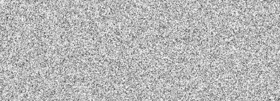 Black random noise texture. Rough grain noise overlay background. Abstract grunge snow dots wallpaper. Distress gritty dust backdrop with particles, speckle, drops, specks, flecks. vector