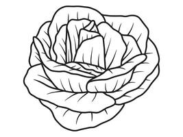 Hand Drawn Flower Sketch vector