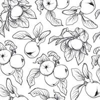 Apple fruit branch seamless drawing pattern vector