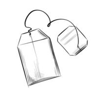 Two tea bags with strings sketch vector