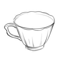 Elegant teacup with scalloped edge sketch vector