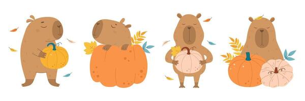 Funny autumn capybara with pumpkin set vector