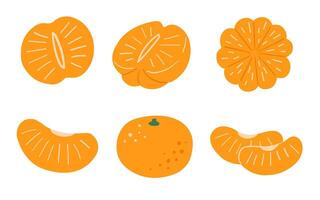 Tangerine, food flat illustrations set, abstract fruit art isolated on white background vector