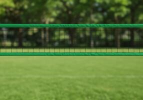 A green net is in the middle of a field photo