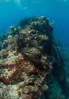 A large shipwreck with a net on it photo