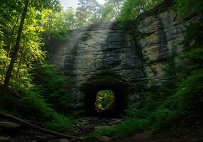 Sunlight shines through a cave in the woods photo
