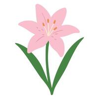 pink lily illustration, Colorful Garden pink lily , Colorful Gardening Clipart, Gardener design sublimation vector