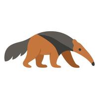 Zoo Anteater illustration, Colorful Anteater , Colorful Safari Animal Clipart, Animal design sublimation vector