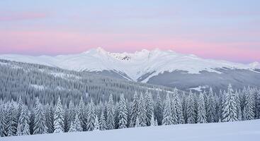 A snowy mountain range with trees and snow photo