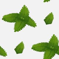 Seamless mint and catnip leaf pattern vector