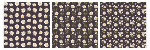 Seamless Daisy Patterns. Ornament with daisies for fabric swatches, scrapbooking, printing. botanical pattern vector