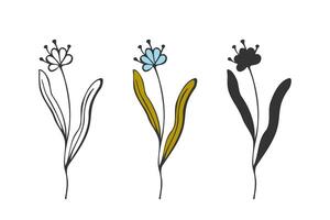 Set of flower style, doodle outline and silhouette hand drawing, logo, icon, botanical design element, isolated on white background. vector