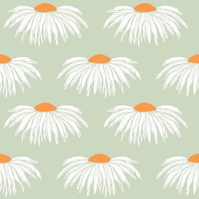 Chamomile pattern, wall decor with hand drawn sketch chamomile flower bud. On pastel green background.