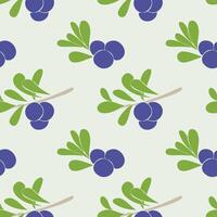 Blueberry pattern with branches, leaves and blue berries on light green background vector