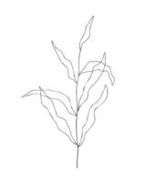 Branch with leaves hand drawn contour sketch, doodle outline twig. Isolated on white background. vector