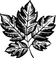 A sketchy style icon of falling autumn leaves vector