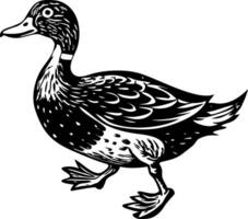 A sketchy style icon of a park duck vector