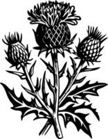 A sketchy style icon of wild thistle plant vector