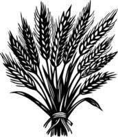 A vintage illustration showing bundle of harvest wheat vector