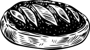 A vintage style illustration of sourdough roll vector