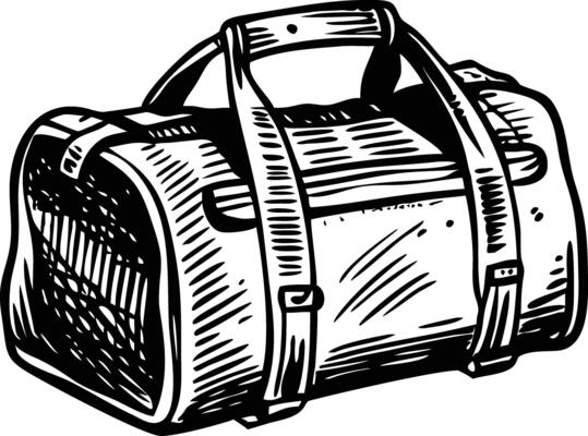 A sketchy style illustration of sports bag