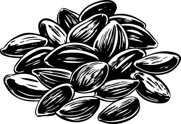 A vintage illustration showing roasted pumpkin seeds