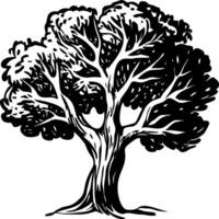 A drawing style icon of tall green tree vector