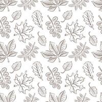 Seamless autumn leaf pattern line art style on white background. Seasonal botanical design perfect for fabric, wallpaper, wrapping paper and fall decoration project. vector