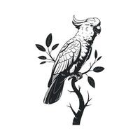 Elegant Black and White Illustration of a Sulphur Crested Cockatoo Perched on a Branch vector