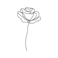 Simple Line Drawing of a Single Rose Flower Minimalist Botanical Illustration vector