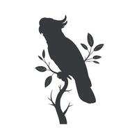Elegant Silhouette of a Cockatoo Perched on a Branch with Leaves vector