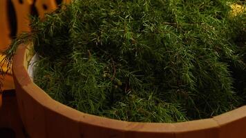 Steaming Fir Brooms In Sauna, Relaxation And Healthy Lifestyle, Enjoy Relax Time In Steam Bath video