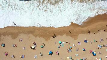 Overhead view of tourist and parasols on sandy seashore video