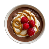 Delicious Chocolate Pudding with Raspberry and Peanut Butter Topping png