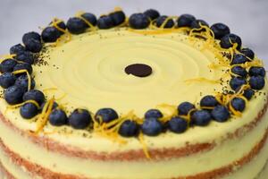 Elegant Lemon Blueberry Layer Cake a vibrant yellow lemon frosting, and a decorative topping of fresh blueberries, lemon zest, and poppy seeds isolated on grey background closeup of baked dessert photo