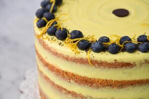 Elegant Lemon Blueberry Layer Cake a vibrant yellow lemon frosting, and a decorative topping of blueberries, lemon zest, and poppy seeds isolated on grey background closeup view of baked dessert photo