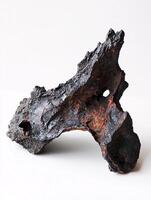 A solitary piece of dried volcanic rock highlights its distinct texture and deep colors, ideal for scientific exploration or creative endeavors. photo