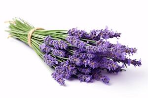 A cluster of Lavender on a snowy surface. Fragrant bouquet. photo