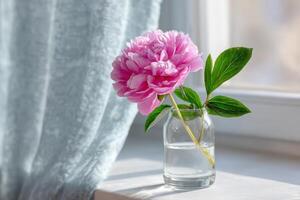 Pink peony flower in a clear glass vase on a windowsill, with soft natural light illuminating the petals and green leaves, creating a serene and tranquil atmosphere photo